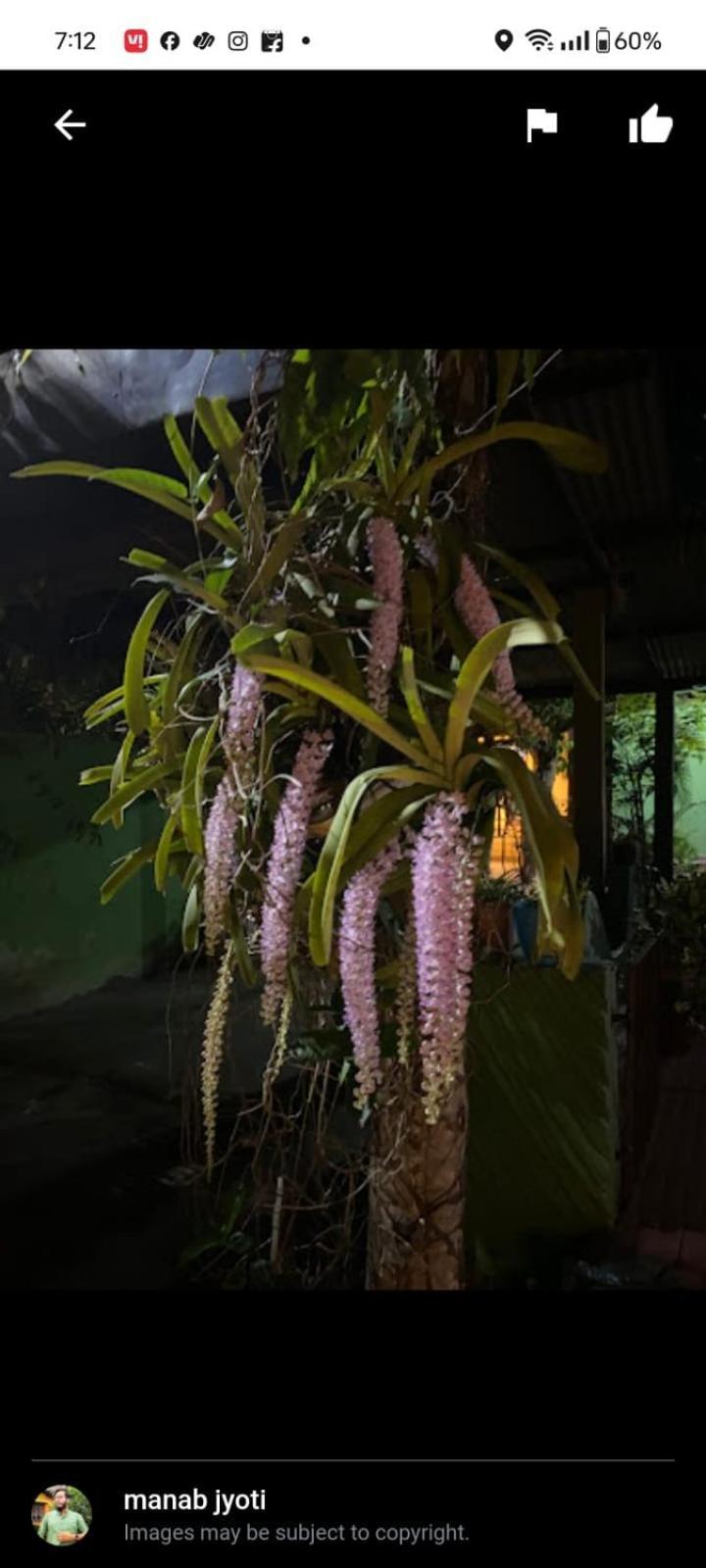 Orchid Park Homestay Sivasagar Εξωτερικό φωτογραφία